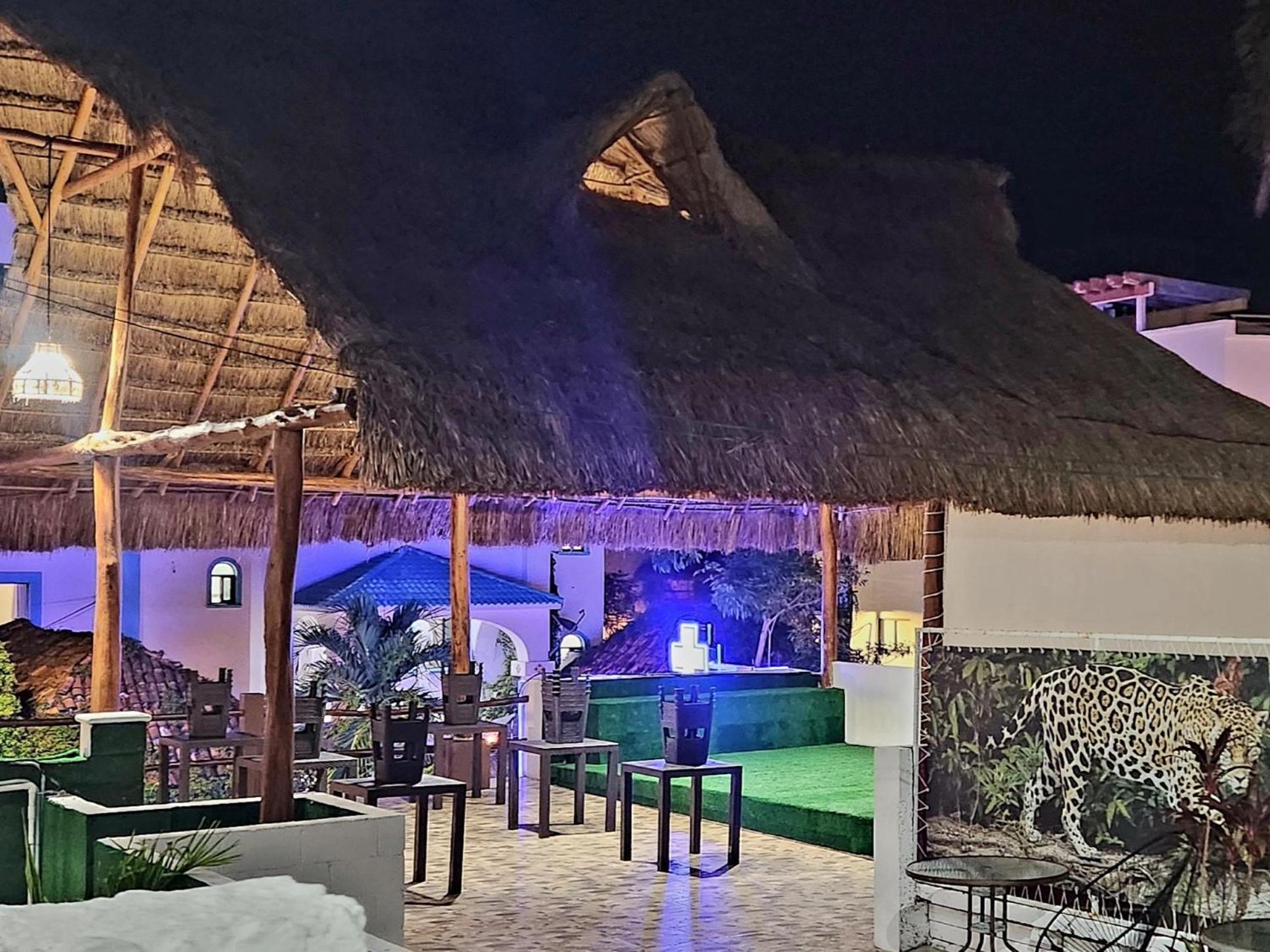 D Margo Hotel Playa del Carmen Bagian luar foto
